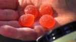 gummies 4.png